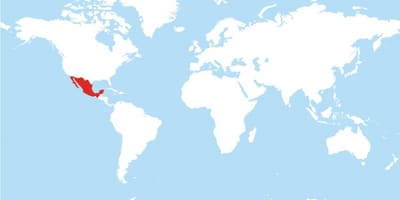Локација на Мексико во мапата на светот